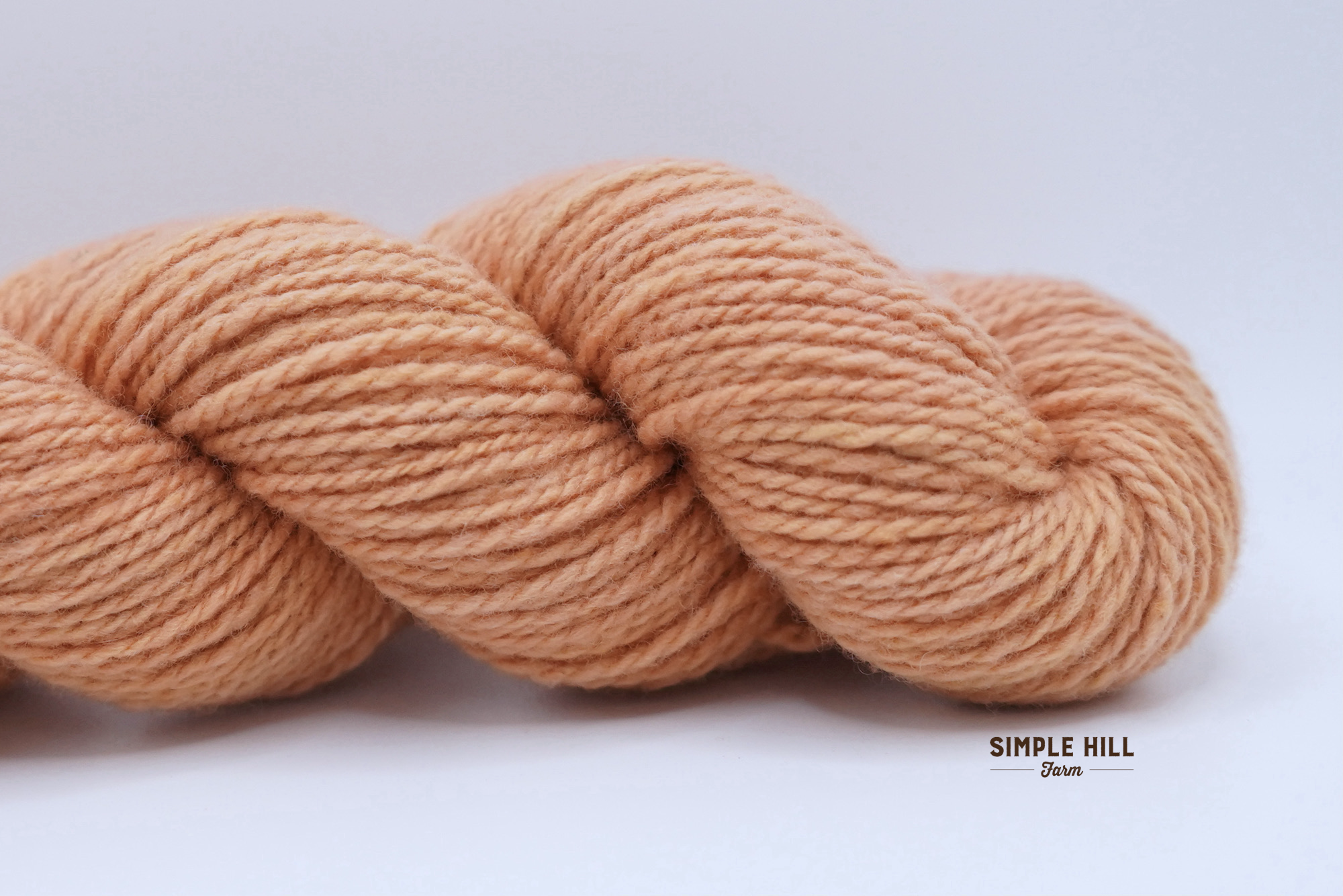 Calendula Orange-DK