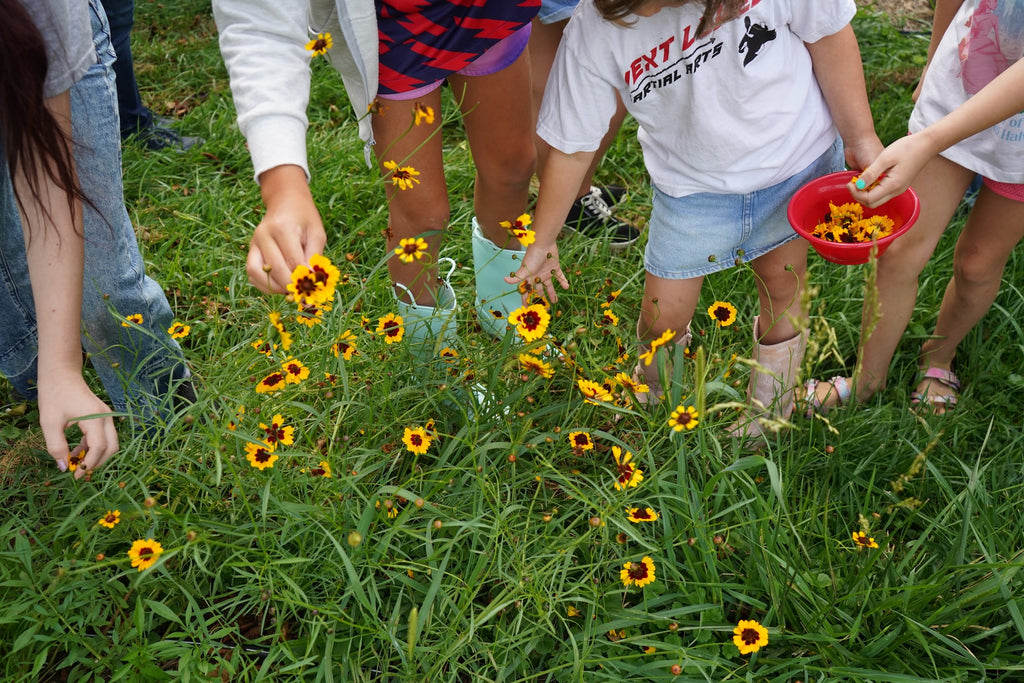 Fiber Farm Summer Camp: Celebrating Nature's Palette & Fiber Crafts for ages 5-9  July 20-24, 2026
