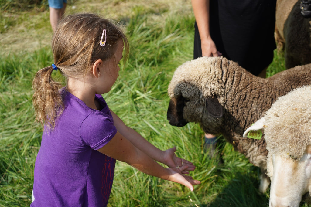 Fiber Farm Summer Camp: Celebrating Nature's Palette & Fiber Crafts for ages 5-9  July 20-24, 2026