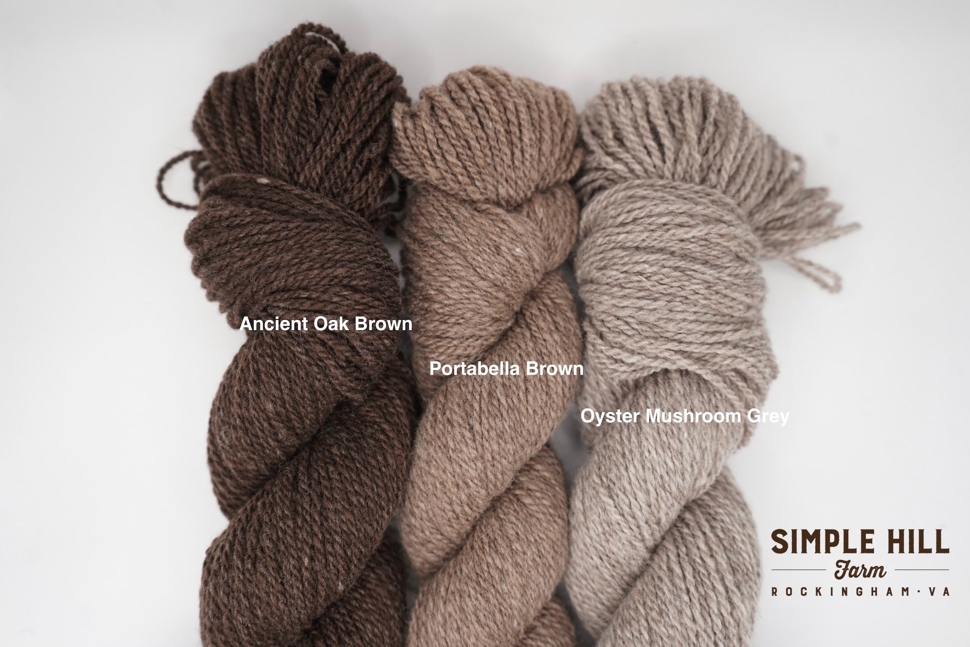 Oyster Mushroom Grey-DK