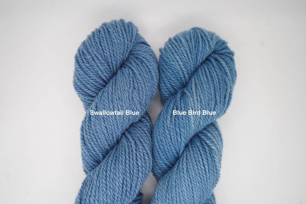 Swallowtail Blue-DK