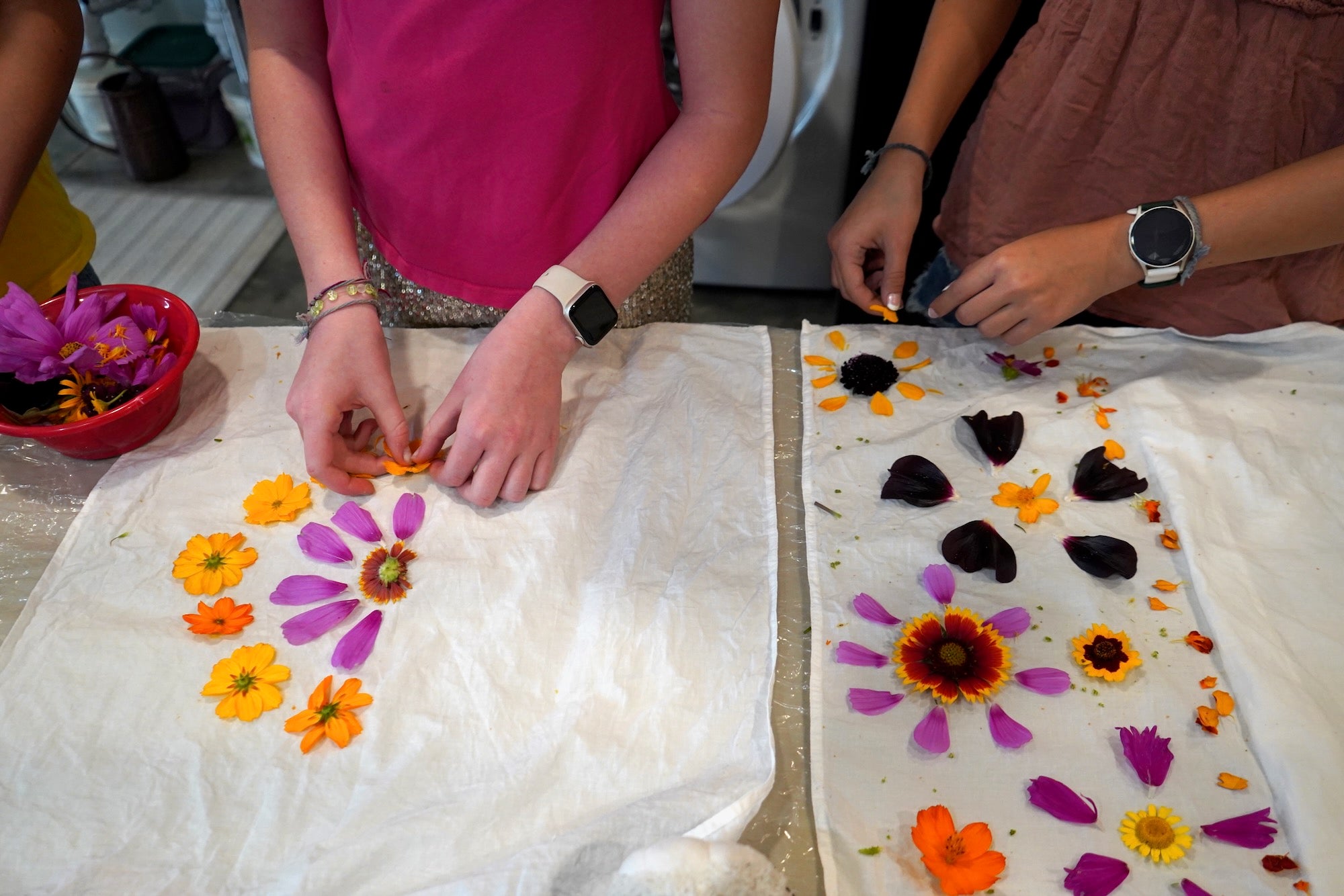 Eco Printing Workshop September 13, 2026 3-4:30pm