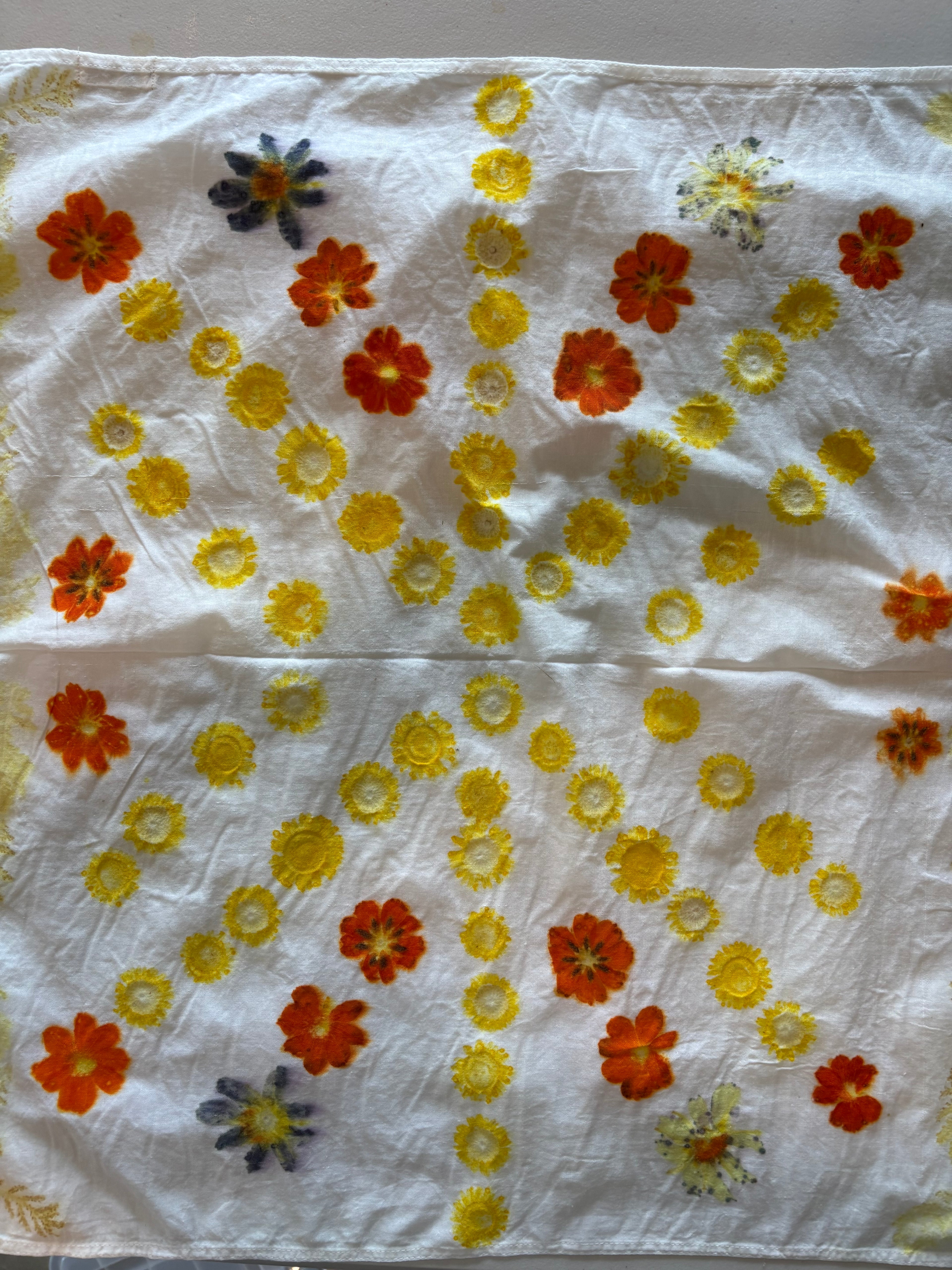 Eco Printing Workshop September 13, 2026 3-4:30pm