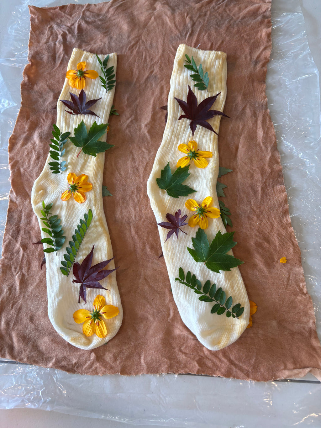 Eco Printing Leaves on Socks Workshop November 1, 2026 3-4:30pm