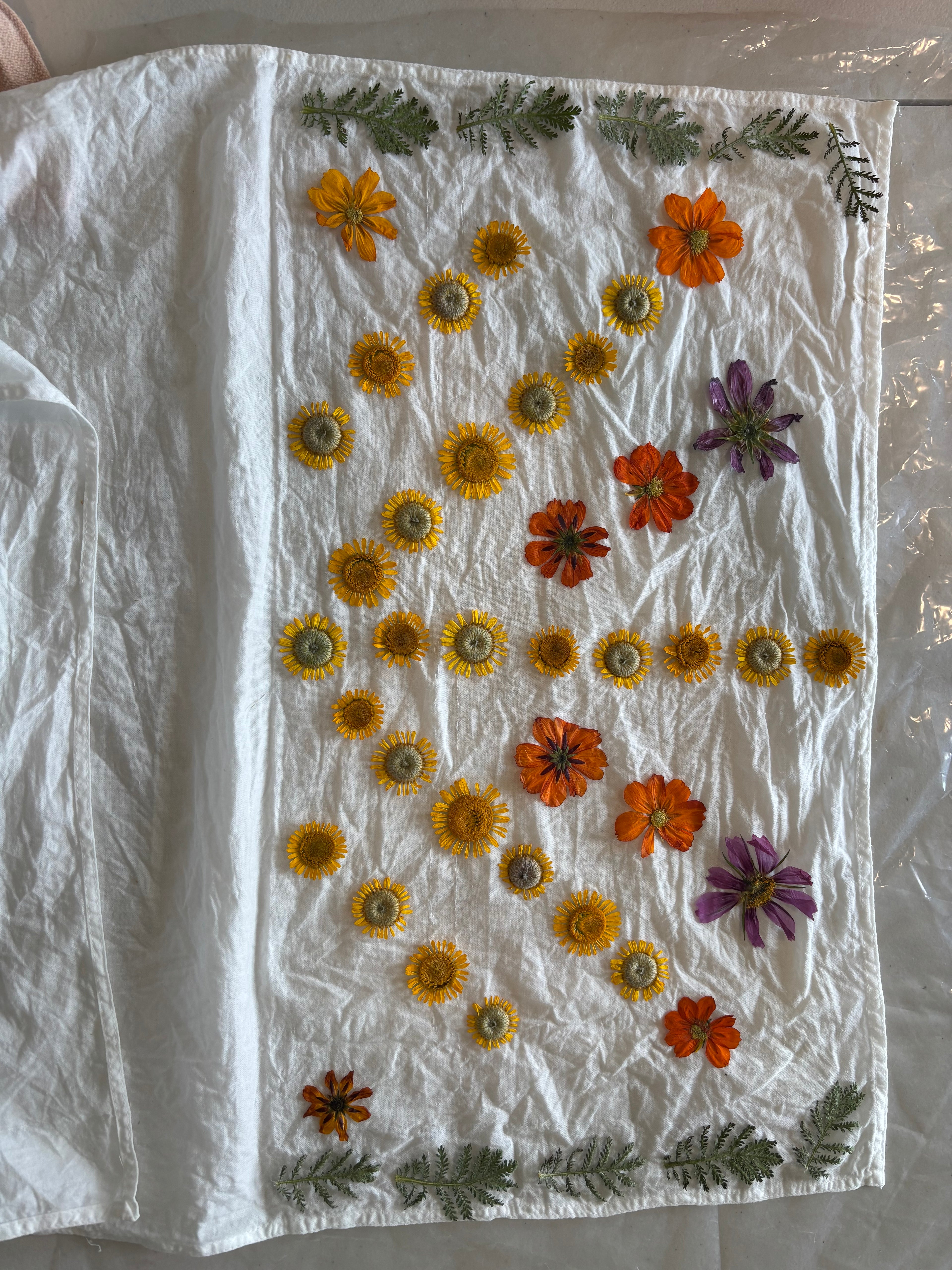 Eco Printing Workshop September 13, 2026 3-4:30pm