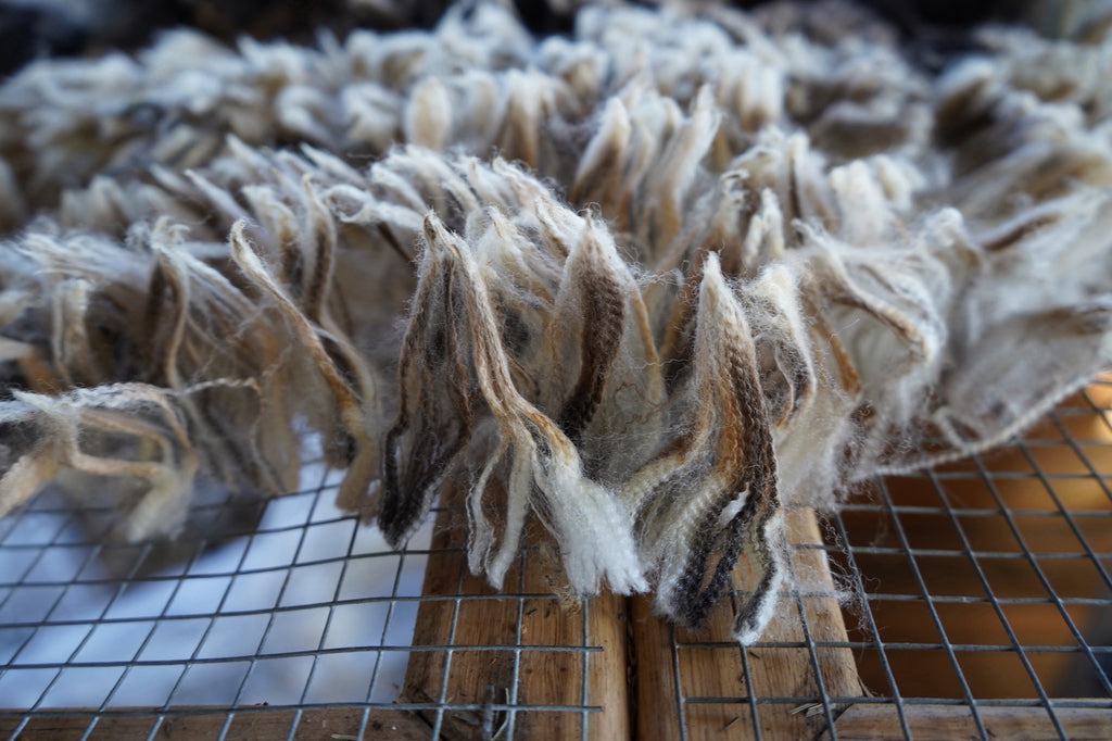 Fig-Roving