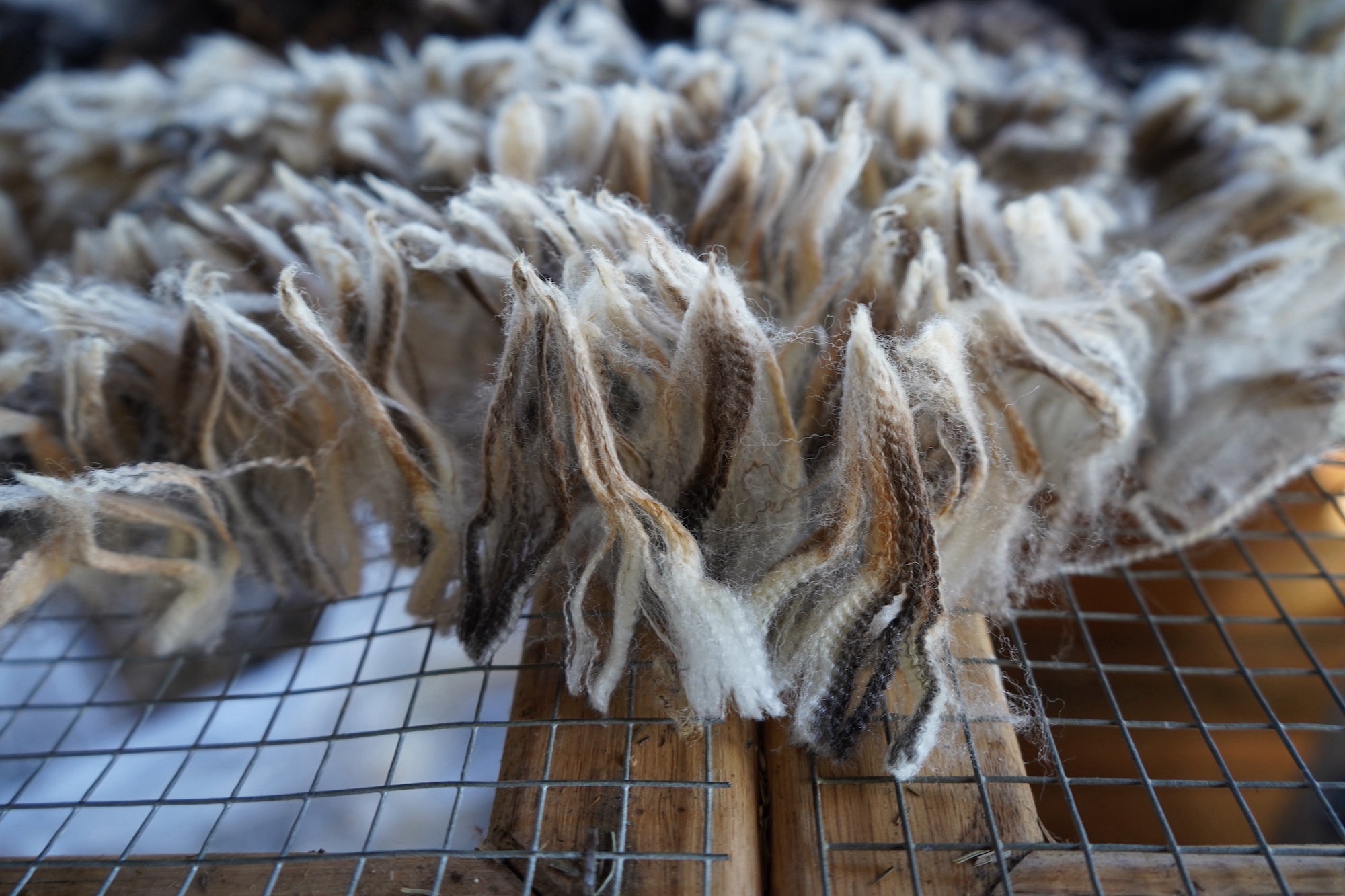 Fig-Roving