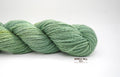 Hosta Green-DK