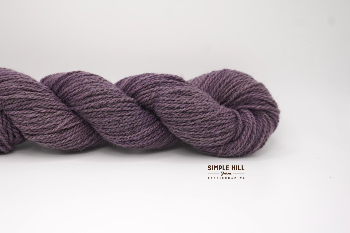 Hyacinth Purple-DK