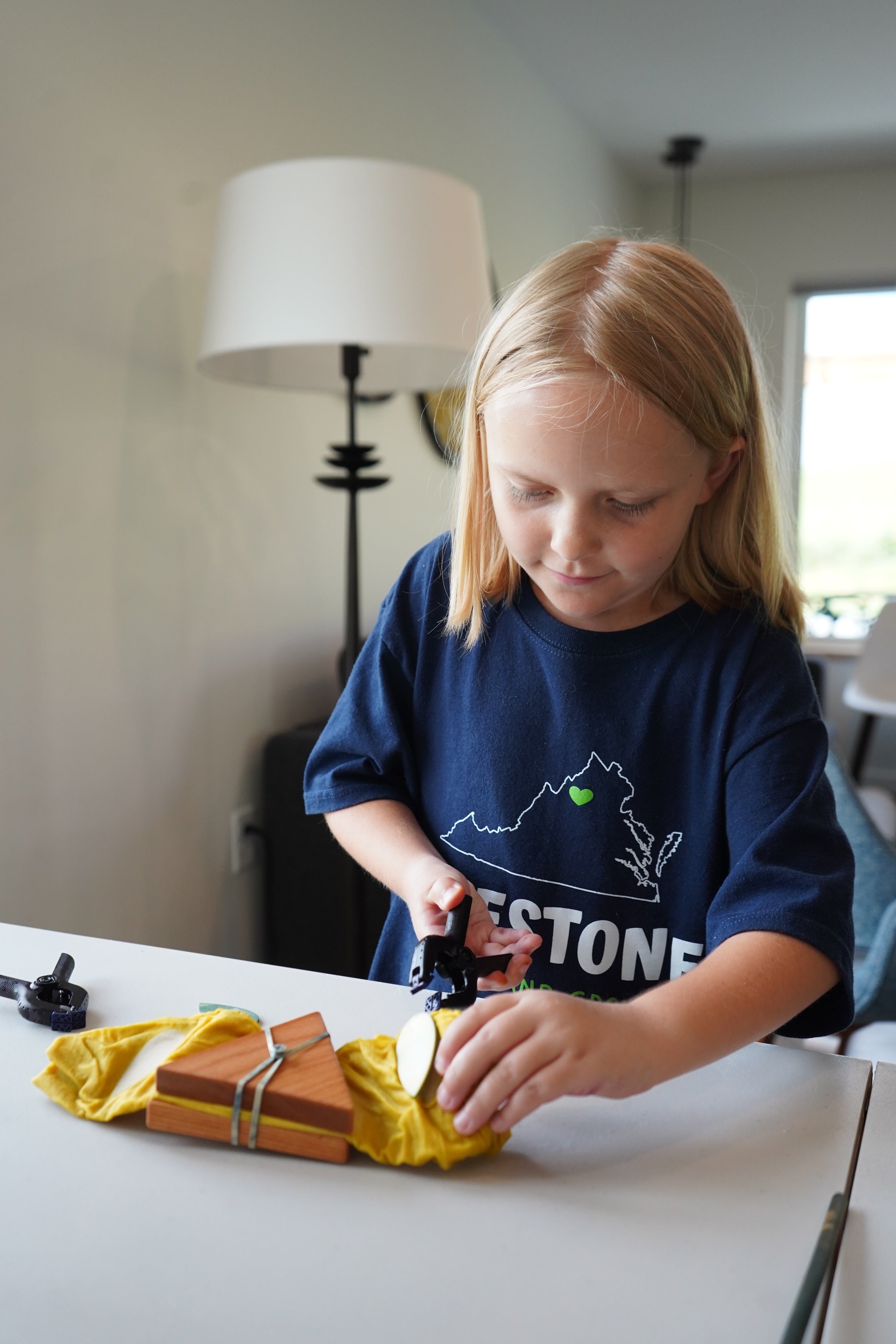 Fiber Farm Summer Camp: Magical Rainbow Dyeing! for ages 5-9  June 22-26, 2026