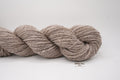 Oyster Mushroom Grey-DK