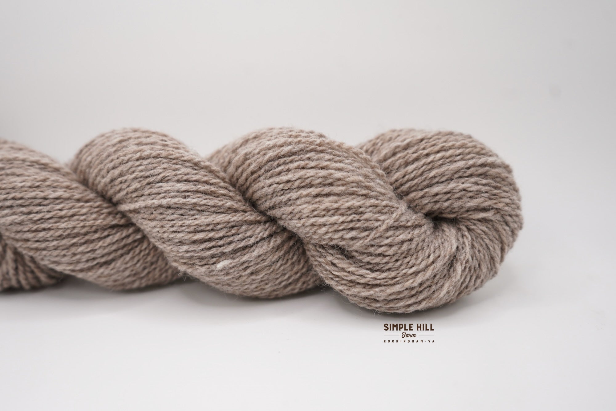 Oyster Mushroom Grey-DK