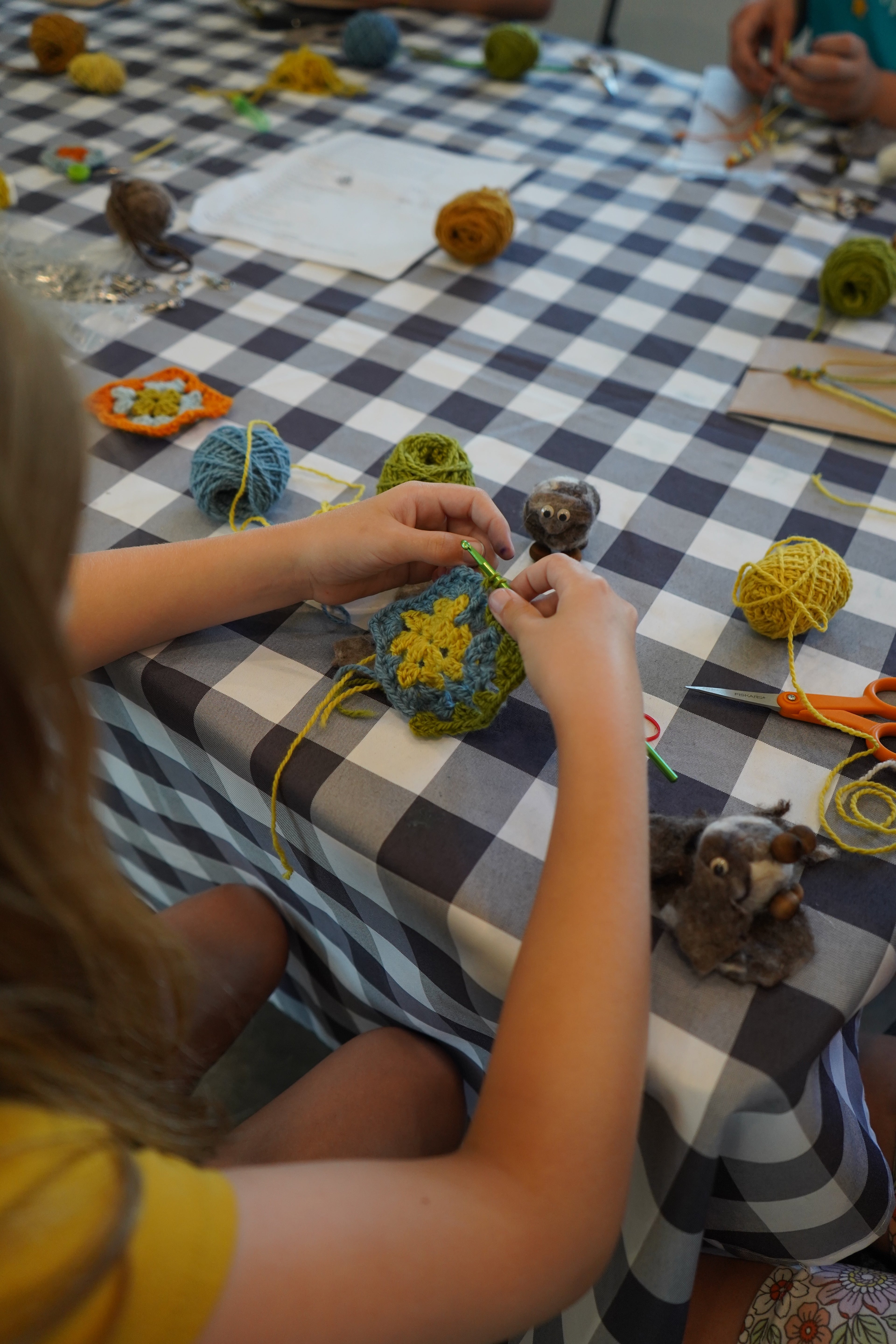 Fiber Farm Summer Camp: Plant Dyes & Fiber Arts for ages 9-12  July 6-10, 2026