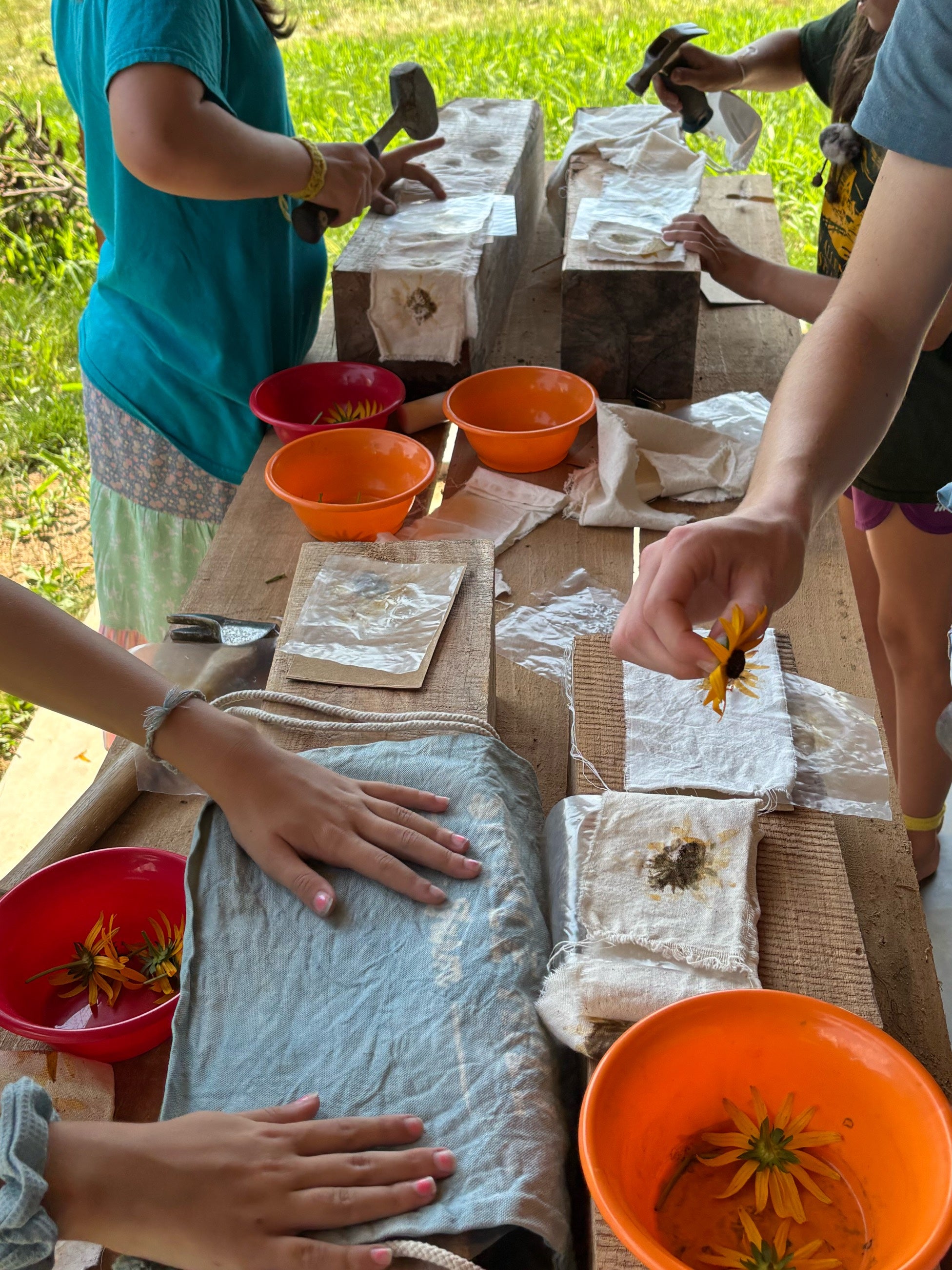 Fiber Farm Summer Camp: Plant Dyes & Fiber Arts for ages 9-12  July 6-10, 2026