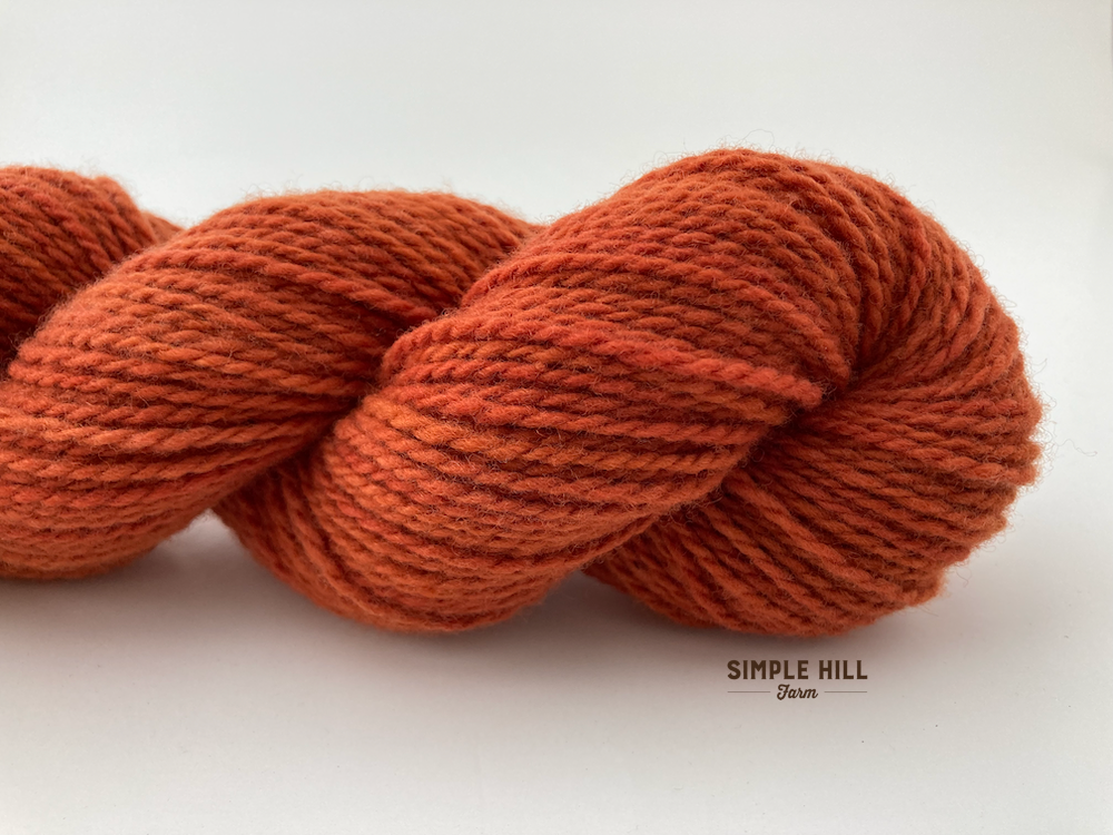 Robin Red-DK