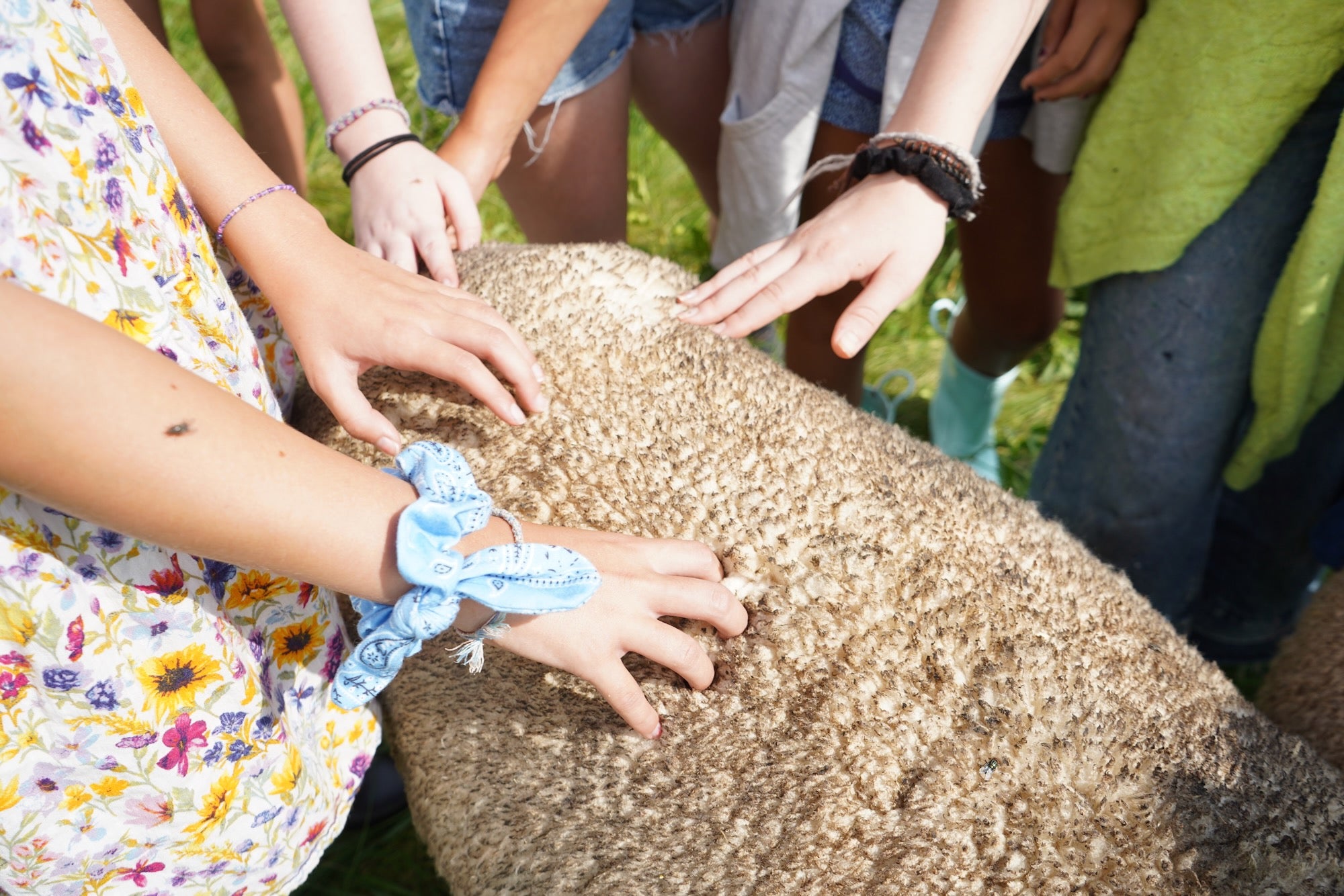 Fiber Farm Summer Camp: Spinning, Dyeing & Weaving for ages 9-12  August 3-7, 2026