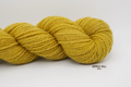 Sunflower Yellow-DK