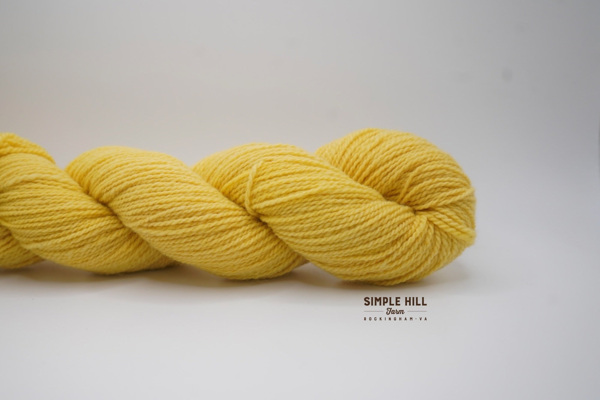 Swallowtail Yellow-Fingering