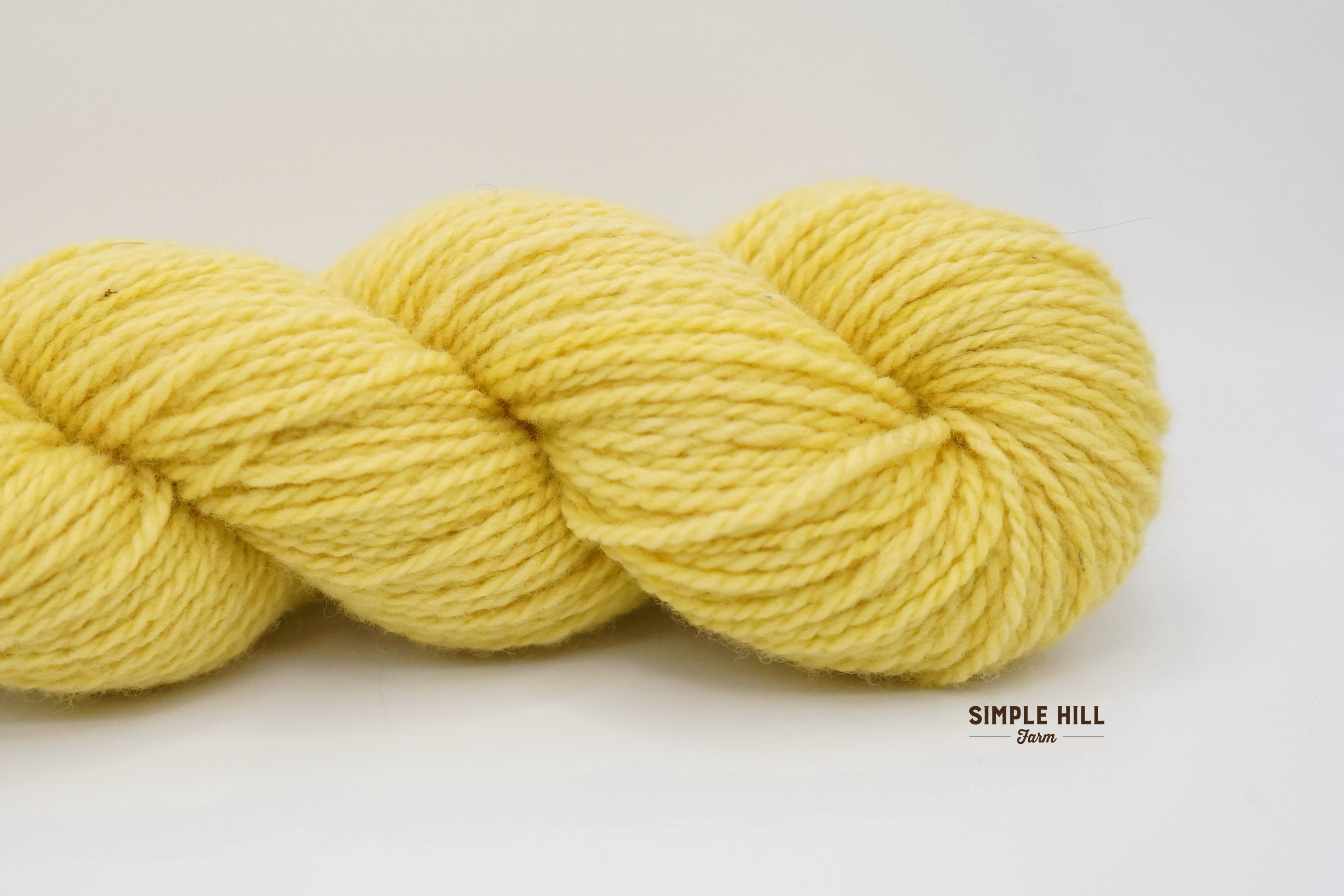 Swallowtail Yellow-DK